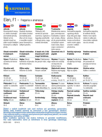 Truskawka Elan - Kiepenkerl
