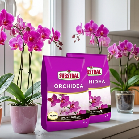 Zestaw 2x Substral Podłoże Do Orchidei 3 l