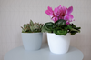Osłonka-Doniczka Magnolia Eco Wood 140 Jumper Szara