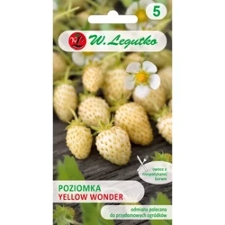 Poziomka Żółta Yellow Wonder 0,1 g - Legutko