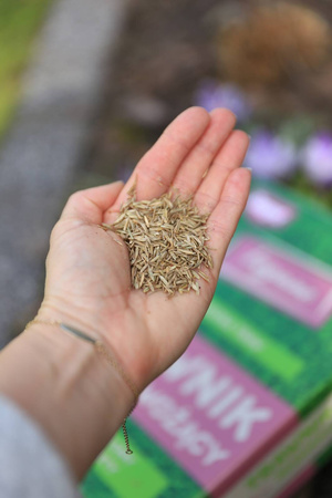 Nasiona trawy – Vegano – trawnik samonawożący – 1 kg Target