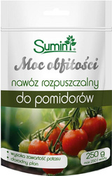 Domyślna nazwa