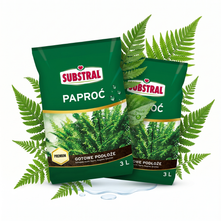 Zestaw 2x Substral Podłoże Do Paproci 3 l