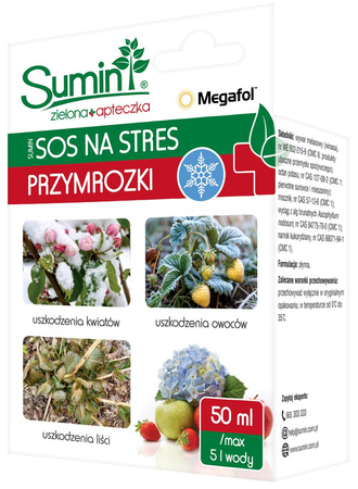Domyślna nazwa