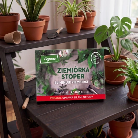 Domyślna nazwa