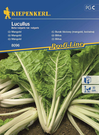 Boćwina, burak liściowy Lukullus
