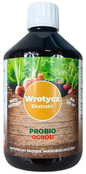 Domyślna nazwa
