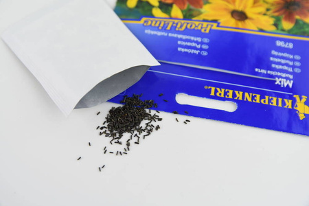 Jeżówka Mix Rudbeckia hirta