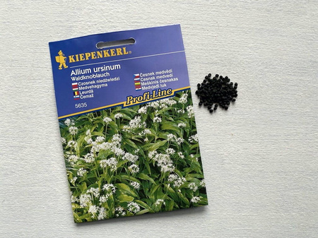 Czosnek Niedźwiedzi - Kiepenkerl