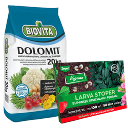 Domyślna nazwa