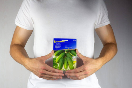 Ogórek konserwowy Excelsior F1 Cucumis sativus