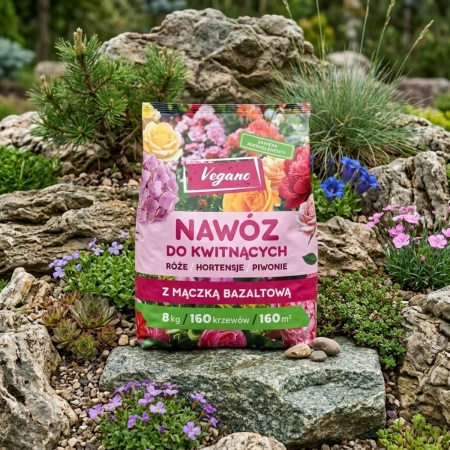 Domyślna nazwa