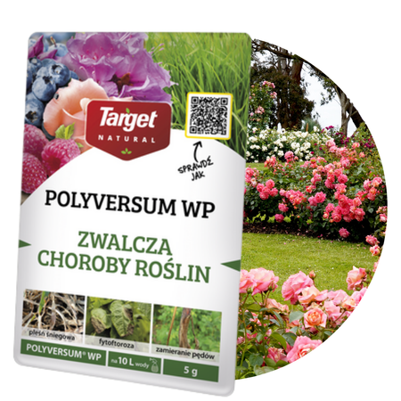 POLYVERSUM WP Uniwersalny 5 g Target