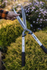 Nożyce do cięcia żywopłotu