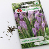 Liatra kłosowa – różowo-fioletowa – 0,2 g Legutko