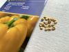 Papryka Yellow California Wonder - Kiepenkerl