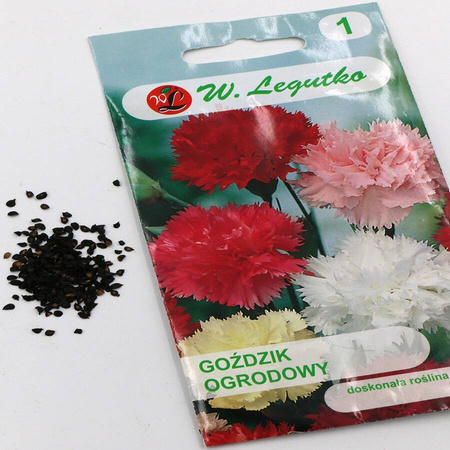 Goździk ogrodowy – mix – 0,5 g Legutko