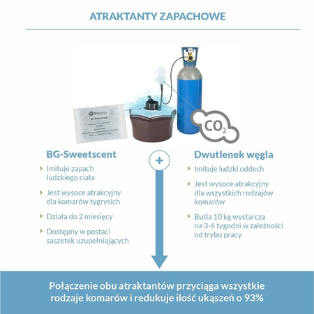 Domyślna nazwa