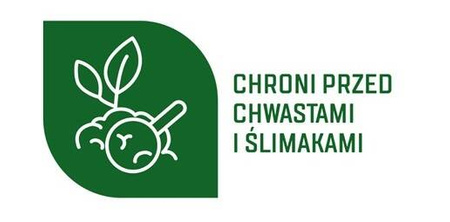 Domyślna nazwa