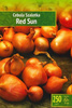 Cebula szalotka czerwona Red Sun 250 g