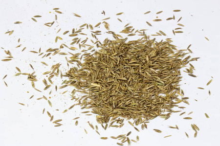 Nasiona trawy – Vegano – trawnik odporny na psa – 1 kg Target