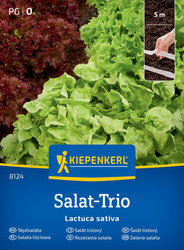 Trio Sałat o Luźnych Liściach  'Loka, Vili, Vizir' - Nasiona na taśmie - Kiepenkerl