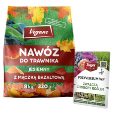 Domyślna nazwa