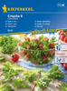 Sałata dębolistna ,,Crispita II’’ – Kiepenkerl