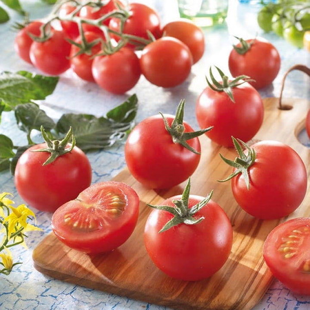 Pomidor koktajlowy Aranca F1 Solanum lycopersicum