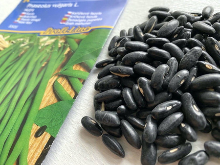 Fasola Negra odporna - Kiepenkerl