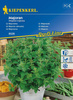 Majeranek jednoroczny Origanum majorana