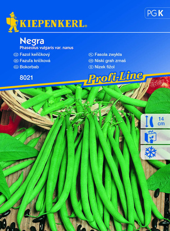 Fasola Negra odporna - Kiepenkerl