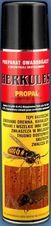 Domyślna nazwa