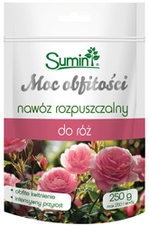 Domyślna nazwa