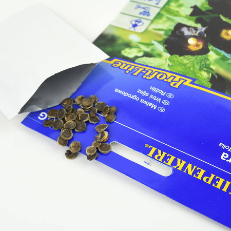 Malwa Ogrodowa Nigra – Kiepenkerl