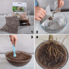 Mikoryza ECTOVIT 300 g