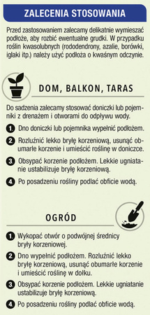 Domyślna nazwa