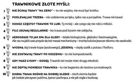 Domyślna nazwa