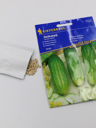 Ogórek sałatkowy ,,Delikateß”- Kiepenkerl