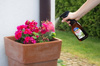 Skrzypal spray – stymulator wzrostu ze skrzypu polnego – 500 ml