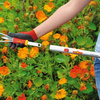 Trzonek Aluminiowy 150 cm