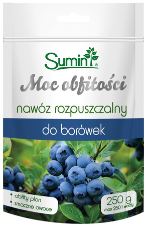 Domyślna nazwa