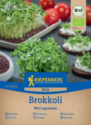 Brokuł Brokkoli - nasiona na microgreens - Kiepenkerl
