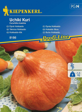 Dynia Hokkaido Uchiki Kuri Cucurbita maxima