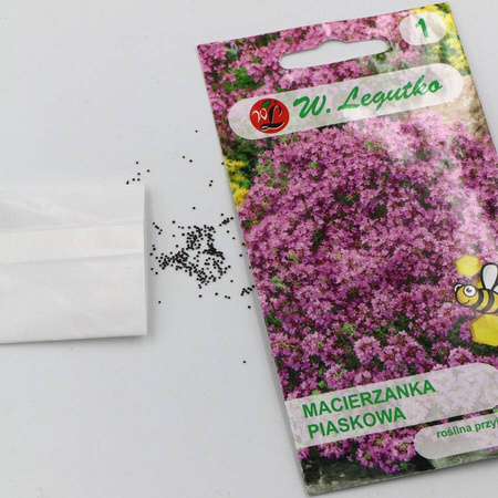 Macierzanka piaskowa – różowa – 0,1 g Legutko