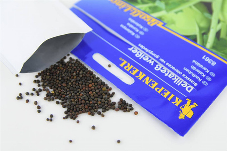 Kalarepa Delikateß weißer Brassica oleracea var. gongylodes