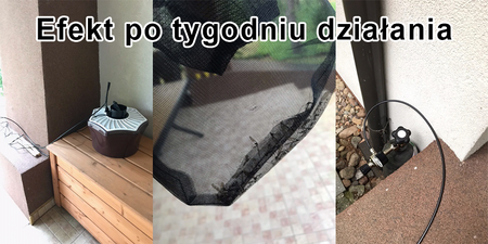Domyślna nazwa