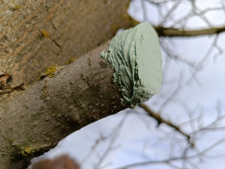 Maść ogrodnicza 350 g 3 szt.