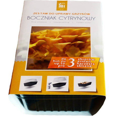 Zestaw Do Uprawy Grzybów - Pieczarka Biała 3 l