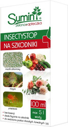 Domyślna nazwa